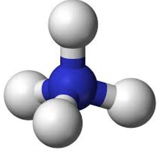 TÁC HẠI CỦA AMONI ĐỐI VỚI SỨC KHỎE CON NGƯỜI